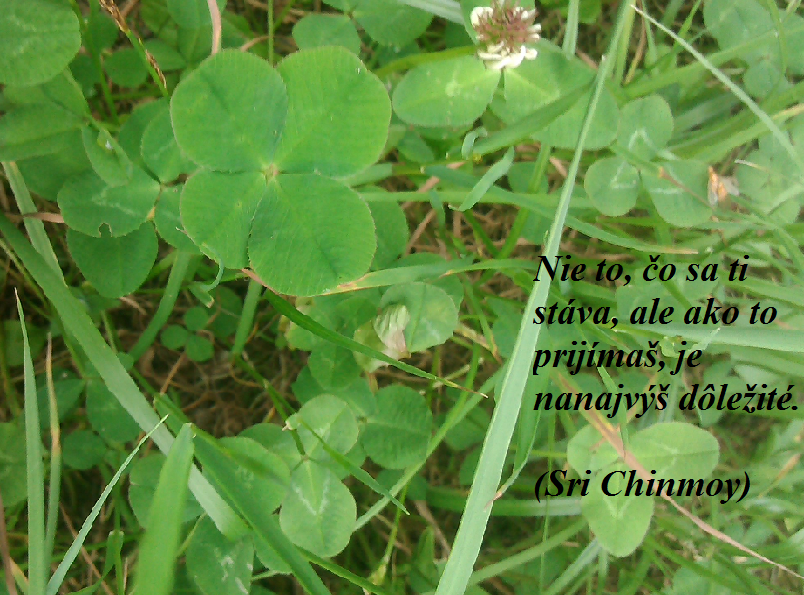 Sri Chynmoy - Čo sa ti stáva